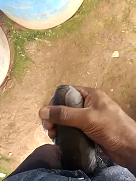 sanju 5418 online show from March 17, 2026, 5:10 am