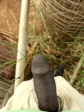 sanju 5418 online show from April 5, 2026, 7:48 am