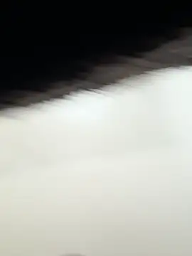 LeonBlazze online show from April 15, 2026, 7:58 pm