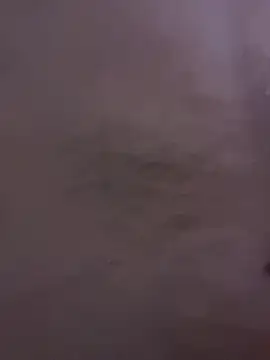 rummndo online show from April 6, 2026, 4:08 am