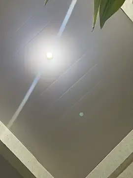 Urcutiepiebaby online show from April 8, 2026, 5:20 am