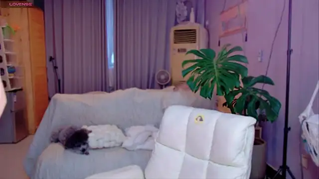 Snapshot of JaeHartMorn chatting on March 31, 2026, 9:55 am JaeHartMorn online show from March 31, 2026, 9:55 am