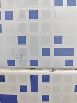 diljaan51 online show from March 24, 2026, 11:05 pm