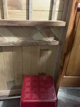 Zinii99 online show from April 9, 2026, 1:06 pm