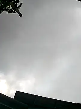 Cute-flowers online show from March 21, 2026, 2:35 am