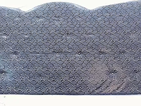 Snapshot of Salome_bichtxx chatting on April 10, 2026, 6:37 pm Salome bichtxx online show from April 10, 2026, 6:37 pm