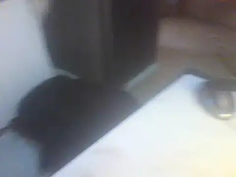 Snapshot of Likhona02 chatting on April 2, 2026, 7:48 am Likhona02 online show from April 2, 2026, 7:48 am