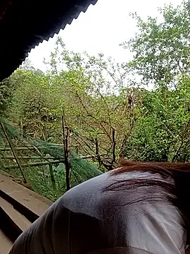 Snapshot of meg_06 chatting on March 27, 2026, 12:19 am meg 06 online show from March 27, 2026, 12:19 am