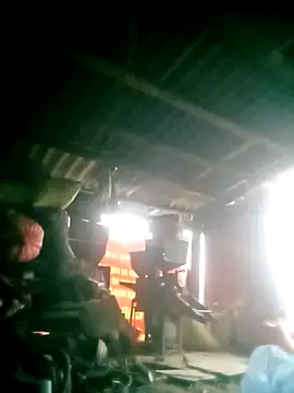 Lily Daisy online show from April 17, 2026, 11:29 pm