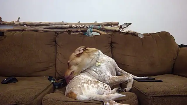 DavidEugeneOr online show from April 22, 2026, 8:21 am