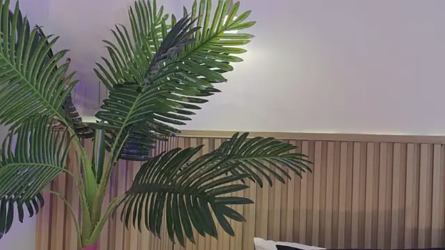 Aly leee online show from April 1, 2026, 12:06 pm