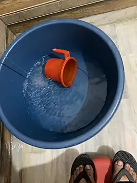 sweet lollipop4 online show from April 8, 2026, 2:13 am