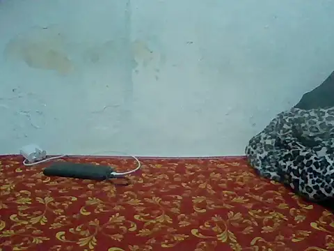 Snapshot of Rato250 chatting on April 8, 2026, 6:42 pm Rato250 online show from April 8, 2026, 6:42 pm