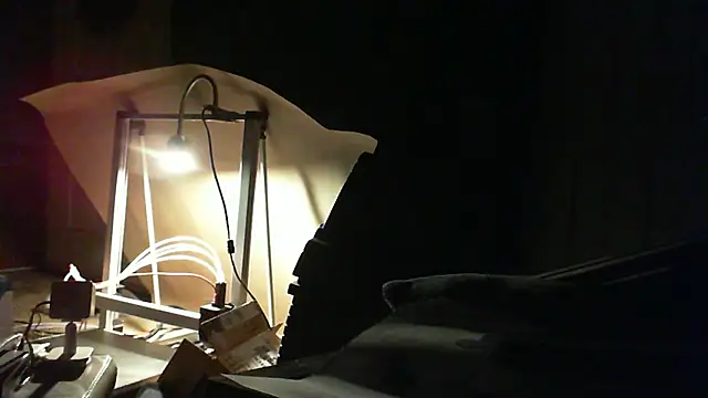 adorbsbiggestfan online show from April 14, 2026, 11:26 am