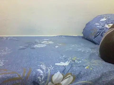 Snapshot of chauke2345 chatting on April 11, 2026, 11:47 am chauke2345 online show from April 11, 2026, 11:47 am