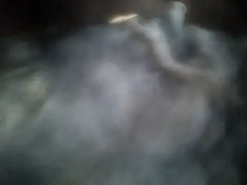 arda096 online show from April 4, 2026, 7:37 am