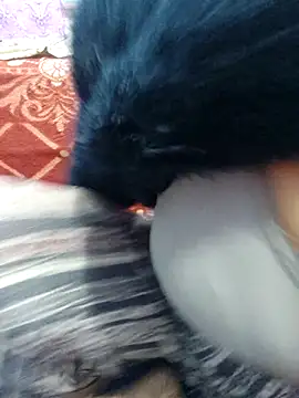 Rufiya khan0 online show from April 6, 2026, 3:24 am