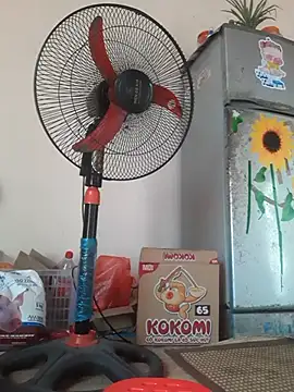 Snapshot of -Bianmi- chatting on April 9, 2026, 6:52 am -Bianmi- online show from April 9, 2026, 6:52 am