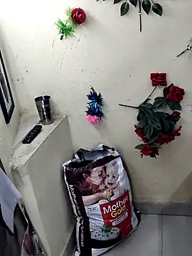 BlushingBunny  online show from April 7, 2026, 5:37 pm