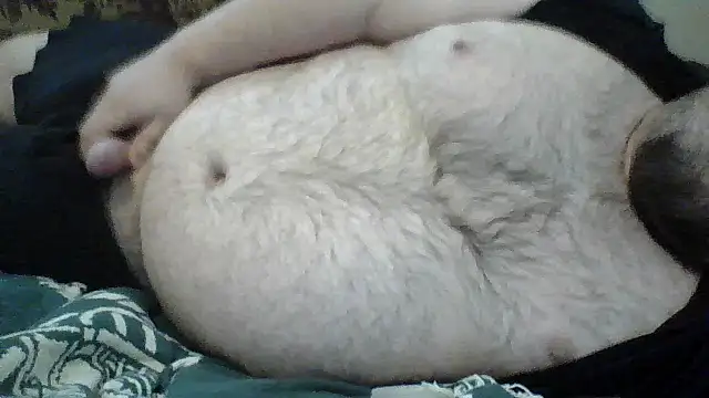 Snapshot of TBFL0204 chatting on July 9, 2026, 2:38 pm TBFL0204 online show from July 9, 2026, 2:38 pm