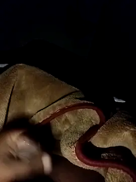 chickelikeme online show from April 8, 2026, 1:40 am