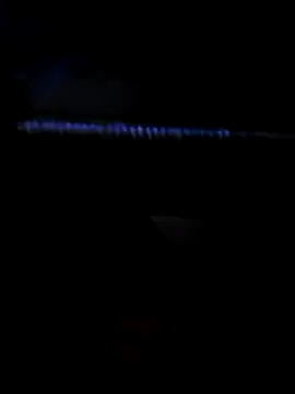coupleslibres online show from April 13, 2026, 9:41 pm
