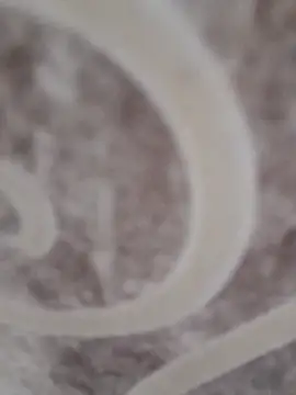 Snapshot of sk022 chatting on April 15, 2026, 6:34 pm sk022 online show from April 15, 2026, 6:34 pm