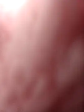 Flora Ambeers online show from April 15, 2026, 6:52 am