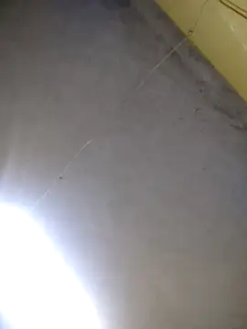 maicol6699 online show from April 15, 2026, 11:38 am