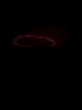 teluguabbai4567 online show from April 21, 2026, 11:55 pm