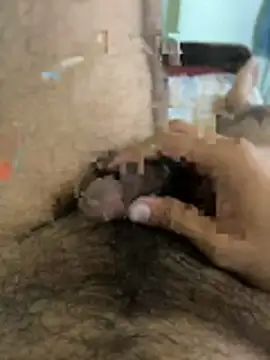 warm milk69 online show from April 19, 2026, 4:02 am