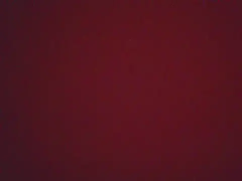 Snapshot of FernandaMartynelyh chatting on April 22, 2026, 4:36 pm FernandaMartynelyh online show from April 22, 2026, 4:36 pm