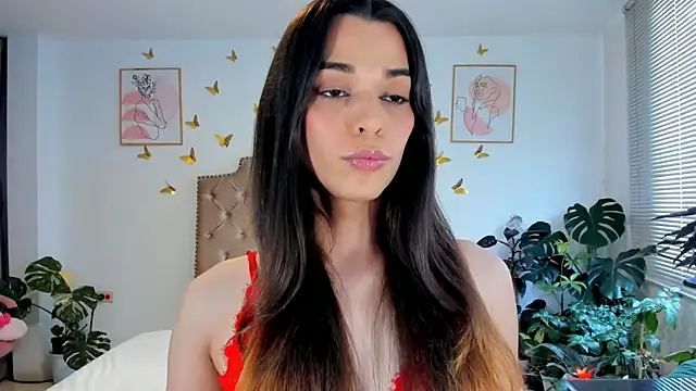 bella grego online show from June 21, 2026, 5:41 pm