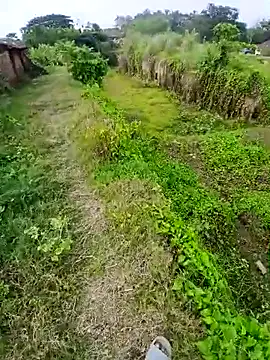 Snapshot of Vivek_gi chatting on May 10, 2026, 9:46 am Vivek gi online show from May 10, 2026, 9:46 am