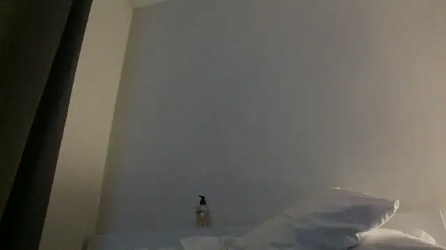 Snapshot of Naughtysouthwest chatting on May 14, 2026, 11:02 pm Naughtysouthwest online show from May 14, 2026, 11:02 pm