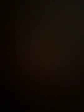 stecher 95- online show from June 19, 2026, 11:49 am