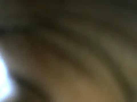 Snapshot of Ass_matic_ebony chatting on June 6, 2026, 3:06 pm Ass matic ebony online show from June 6, 2026, 3:06 pm