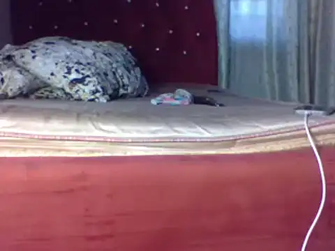 biggest black cock online show from June 25, 2026, 2:22 pm