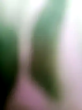 Snapshot of Cut_means47 chatting on July 5, 2026, 1:54 am Cut means47 online show from July 5, 2026, 1:54 am