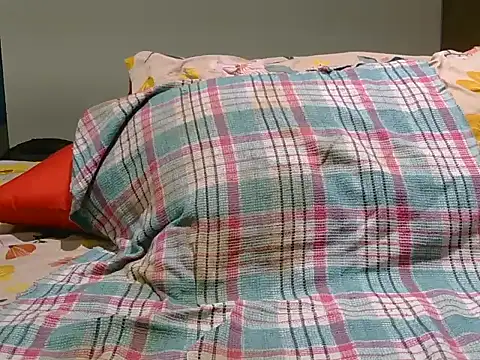 indiboy009 online show from April 2, 2026, 6:47 pm