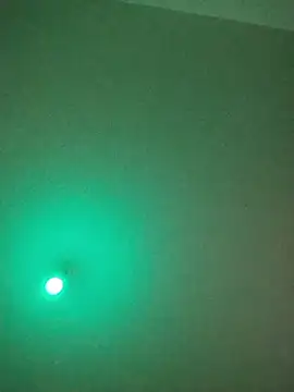 Nightcrawlers online show from July 4, 2026, 2:07 am