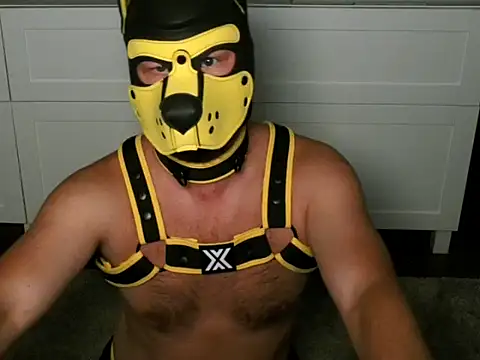 Snapshot of WildyLynx chatting on July 12, 2026, 11:38 pm WildyLynx online show from July 12, 2026, 11:38 pm