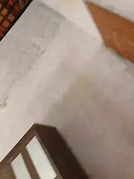 Nando Gato Active online show from July 8, 2026, 3:13 pm