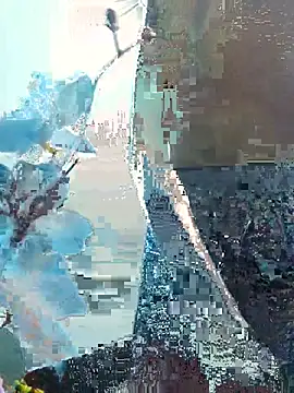 supreme boys online show from July 22, 2026, 3:14 pm
