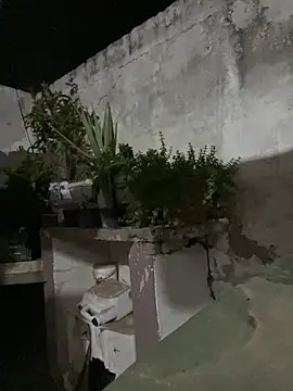 Snapshot of Locotisimo chatting on July 24, 2026, 3:57 am Locotisimo online show from July 24, 2026, 3:57 am