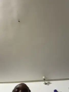 myhoneymolly online show from July 29, 2026, 2:44 am