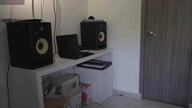 Snapshot of aimi_art1 chatting on January 30, 2025, 12:48 pm aimi art1 online show from January 30, 2025, 12:48 pm