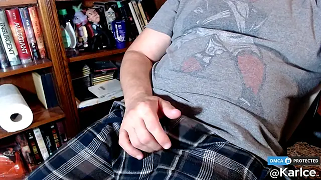 Snapshot of karlce chatting on November 30, 2025, 4:02 am karlce online show from November 30, 2025, 4:02 am