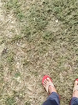 Snapshot of ThethunderPo chatting on November 4, 2025, 4:16 am ThethunderPo online show from November 4, 2025, 4:16 am