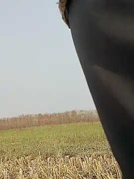 Snapshot of ThethunderPo chatting on November 16, 2025, 4:39 am ThethunderPo online show from November 16, 2025, 4:39 am